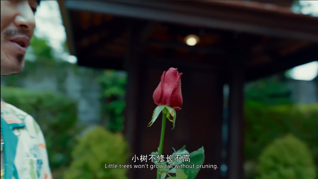 小树不修长不高