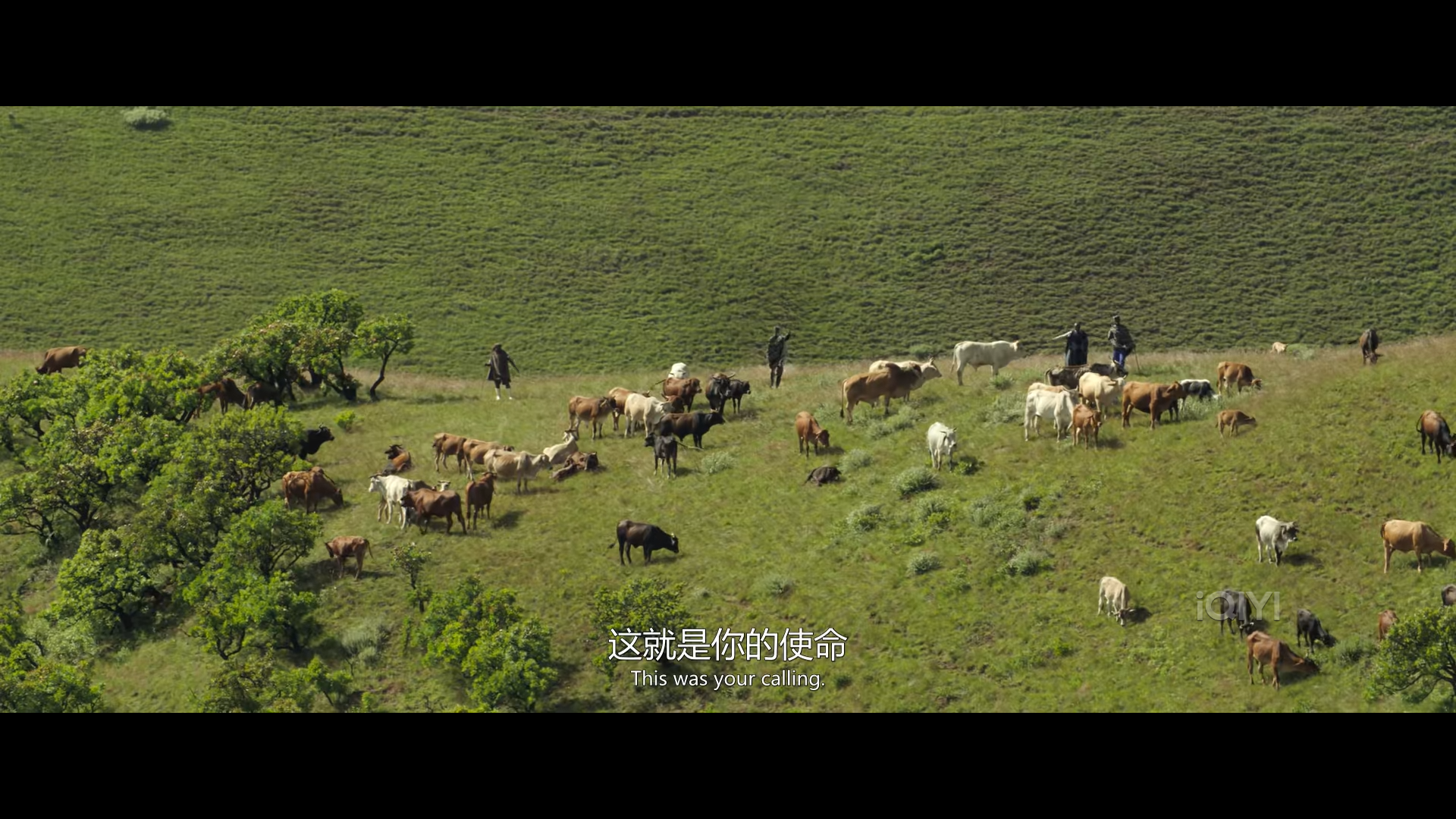 这就是你的使命